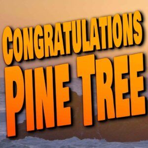 Congratulations Pine Tree Podcast Logo