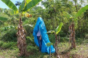 Image of Kevin Quiles Bonilla wearing a blue hurricane tarp over their head and standing in a lush tropical landscape.