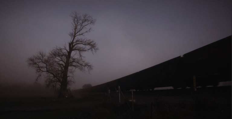 A scene of a train passing by a bare tree. The sky is a slight gradient from purple to pink