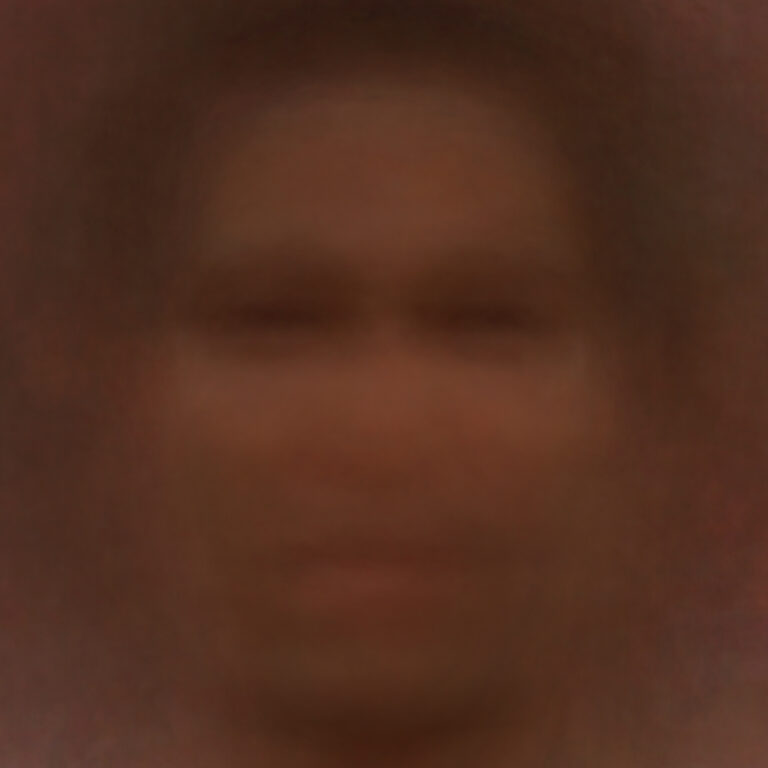 "Using Open Computer Vision and the programming language Python, a facial detection algorithm was run on a series of films by directors of color. Each of the faces detected was stacked and centered according to a portrait template. The median pixel value for each detected face is calculated to create one single portrait of the film that serves as a kind of record of all the faces the facial detection algorithm was able to detect." - Dennis Delgado