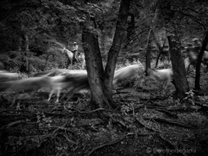 "The image, taken in slow motion, captures the precise moment when the cattle ran past him. Notice that the man and beast are static in the background and are not breathing." - Werner Segarra