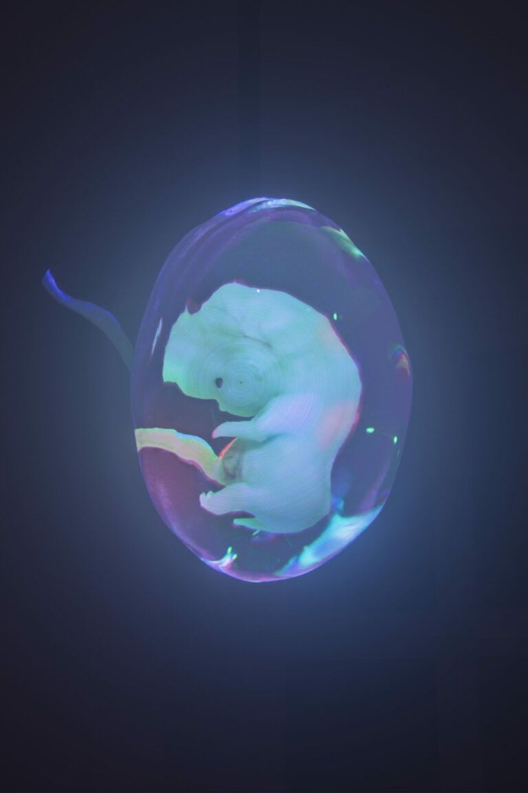 A glowing blue fetus in an egg-shaped sac.