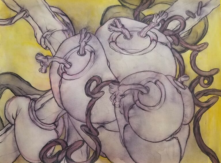 This is a watercolor pencil drawing of two biomorphic forms
