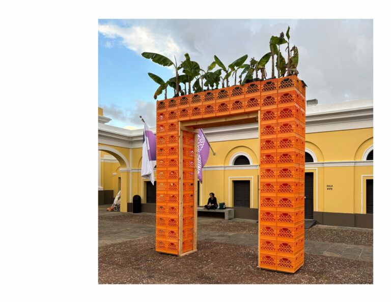 Stacked orange plastic crates holding plantain trees in a town square.
