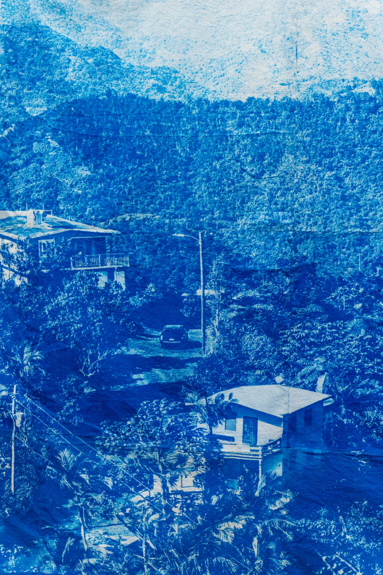 Cyanotype of the Puerto Rican mountainside