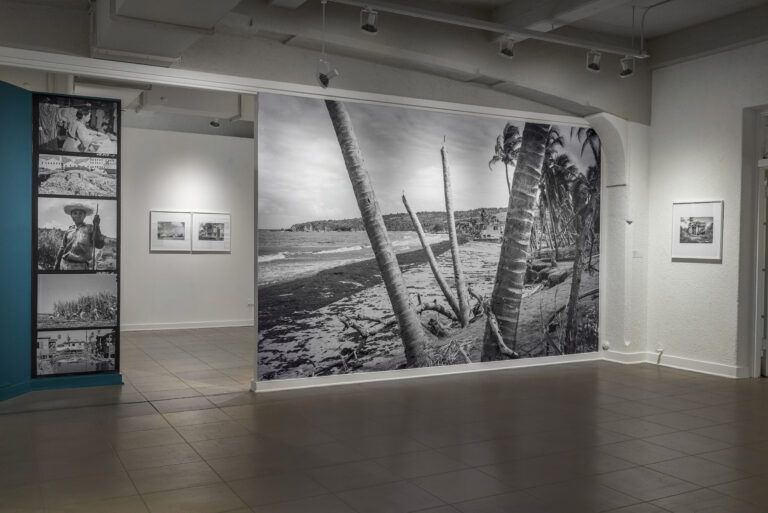 Indoor art installation featuring photographs of palms on a beach and landscapes.