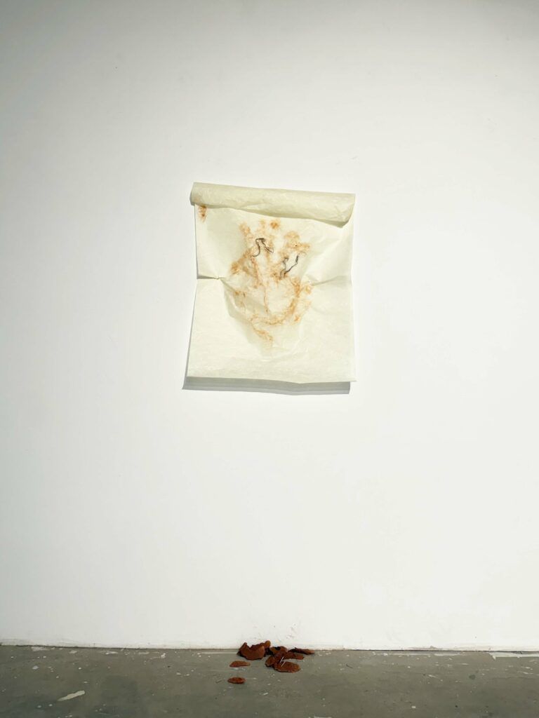 Paper mounted on a wall with markings from clay rubbing. On the paper there is human hair and nails.