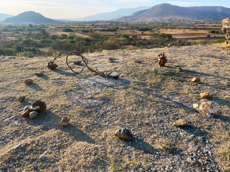 Natural objects arranged in a circle outside in a clearing.