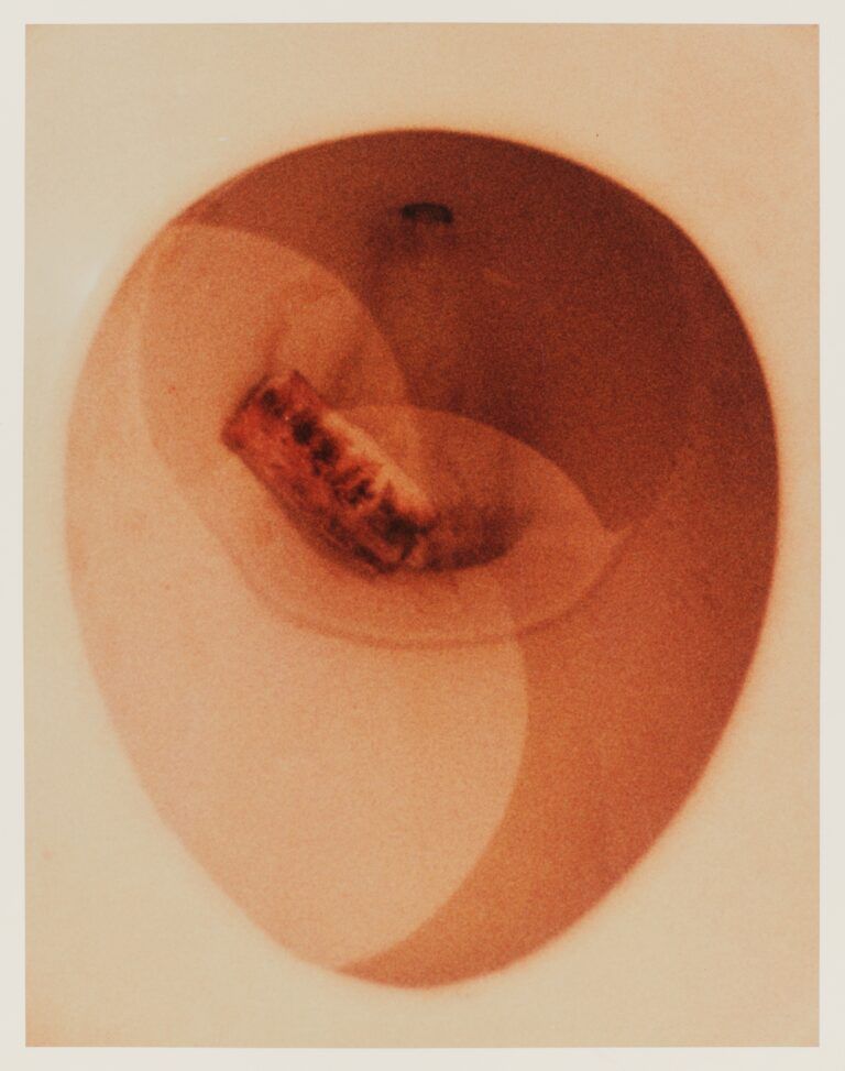 A used menstrual product in a toilet bowl.